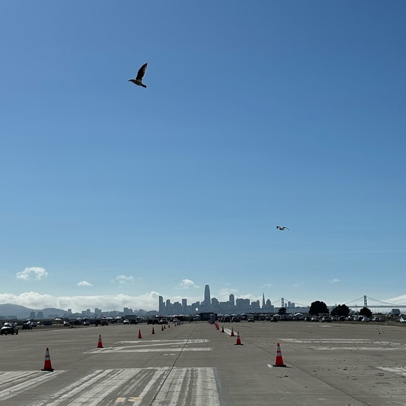 Meet your Posher, Olivia - Picture 1 of 1